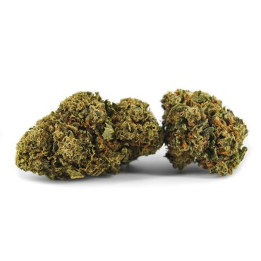 DEVIL FRUIT 5 GRS GREENHOUSE FLEURS DE CBD