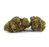 DEVIL FRUIT 5 GRS GREENHOUSE FLEURS DE CBD