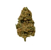 Harlequin - Fleur de CBD Bio 3.5 GRS FLEUR DE CBD