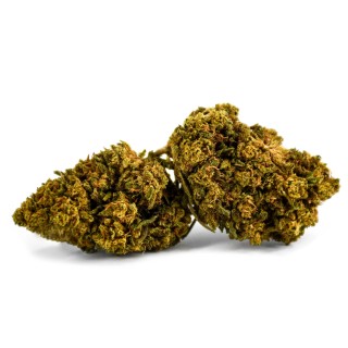 LEMON COOKIES 5 GRS OUTDOOR FLEURS DE CBD INFUSION